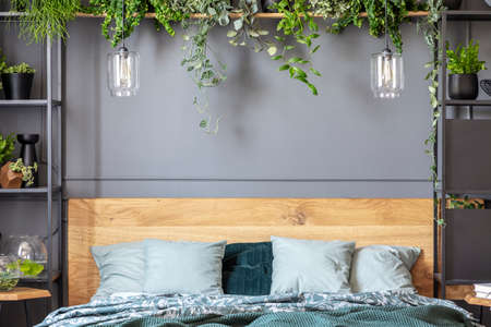 Grey pillows on bed with wooden headboard in bedroom interior with plants and lamps. Real photo