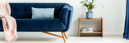 Panorama of plant on table next to blue sofa with blanket and cushion in white flat interior. Real photoの写真素材