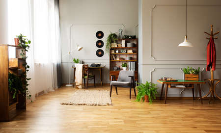 Lamp above table with plant in grey apartment interior with armchair near desk and rug. Real photo