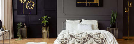 Furry blanket on a cozy bed with white sheets in a gray living room interior with plants and black...