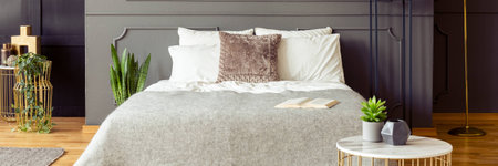 Header of a modern glamour bedroom interior with an open book on a gray blanket and a cactus plant...