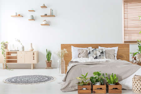 Plants in front of wooden bed in white bedroom interior with rug near cupboard. Real photoの写真素材