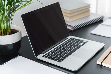 Laptop and plant on black desk in modern home office interior with books. Real photoの写真素材