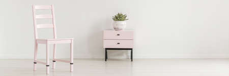 Real photo of wooden chair standing in white living room interior with pastel pink cupboard with plant and empty place for your productの写真素材