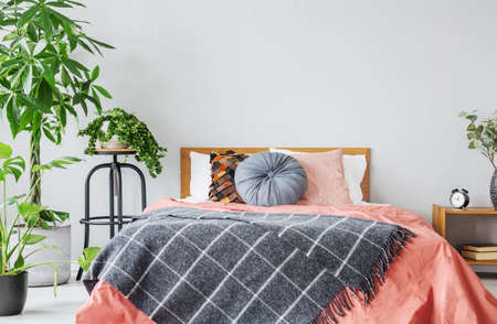 Patterned blanket on red bed with cushions in grey bedroom interior with plants. Real photoの写真素材