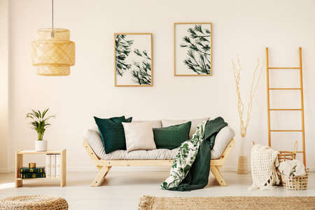 Bright living room interior with simple posters on wall, sofa with cushions and two blankets and wooden end table with books and fresh plant in real photoの写真素材