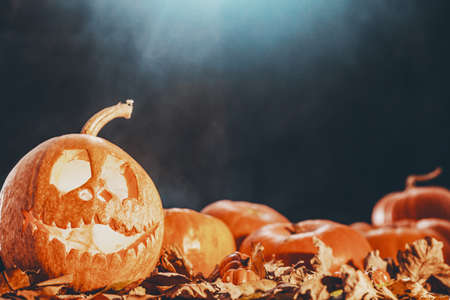 Real photo of smiling face pumpkin placed on the ground with leaves at night with moon lightの写真素材