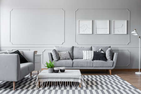 Elegant living room with two comfortable grey sofas with pillows and graphic on the wall, real photo with copy space and mockupの写真素材