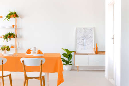 Plant next to cabinet with poster in white dining room interior with chairs at orange table. Real photoの写真素材