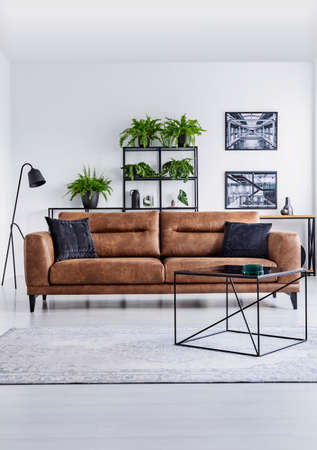 Vertical view of luxury home interior. Brown leather sofa with brown pillows in the middle shelf with plants and lamp behind itのeditorial素材