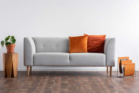 Couch with pillows between wooden table with plant in pot and newspaper organizer, real photo with copy space on the empty white wallの写真素材