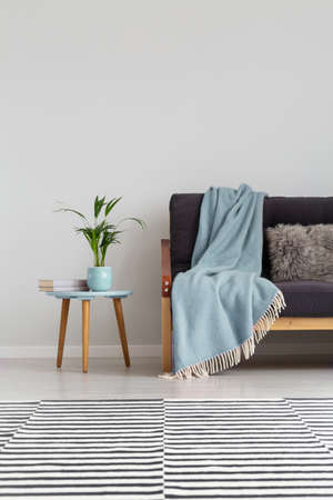 Striped carpet on the floor of elegant living room with comfortable sofa with blue blanket, real...