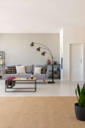 Beige rug in an open living room interior with a sofa, modern lamp and coffee table. Real photoの写真素材