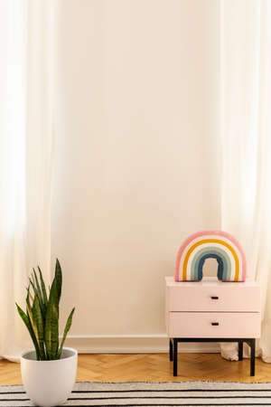 Plant on rug in white apartment interior with rainbow on cabinet and copy space on the wall. Real photoの写真素材