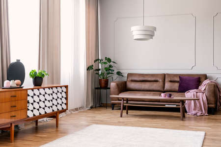 Plant on wooden cupboard in retro living room interior with leather sofa under lamp. Real photoの写真素材