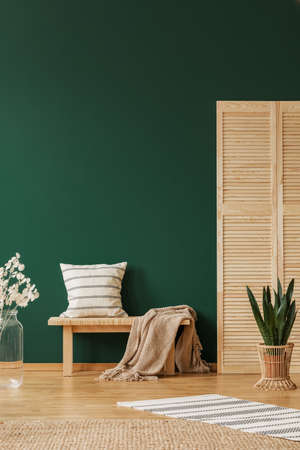 Rug and plant near wooden stool with pillow and blanket in green apartment interior. Real photoの写真素材