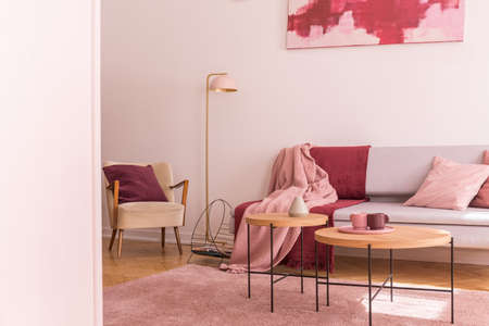 Lamp between armchair and sofa with pink and red blanket in flat interior with tables. Real photoの写真素材