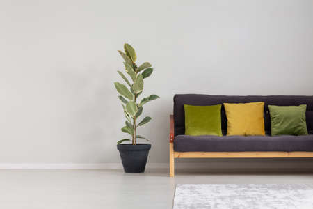 Green cushions on couch next to plant in grey living room interior with copy space. Real photoの写真素材