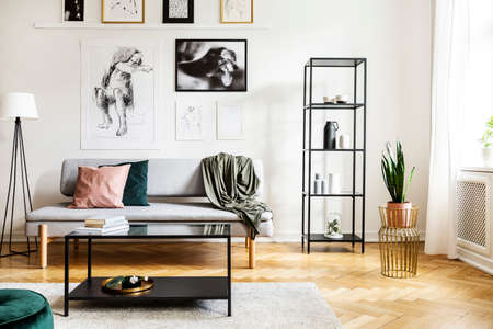 Table in front of sofa next to lamp in white apartment interior with plant and posters. Real photoの写真素材