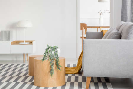 Trendy open space living and dining room interior with grey couch and wooden furniture