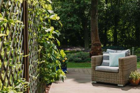 Comfy wicker armchair with pillows on wooden terrace of trendy suburban homeの写真素材