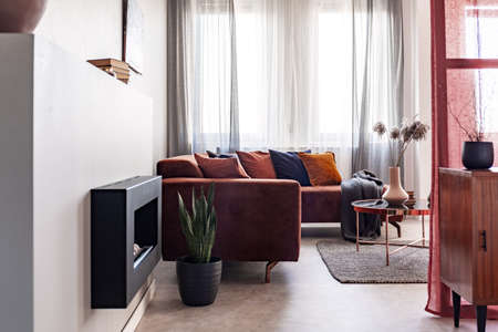 Fireplace and green plant in pot in elegant living room interior with corner sofa with pillowsの写真素材