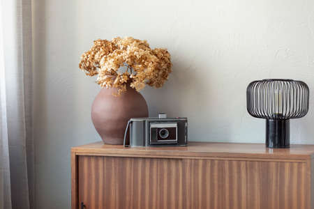 Dry flowers in brown pottery vase next to old vintage camera and industrial lamp on retro wooden...
