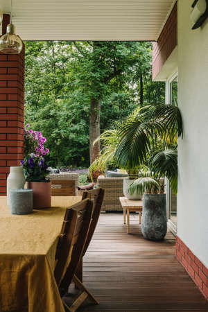 Lot of green plants in big beautiful garden with trendy furniture on the terraceの写真素材