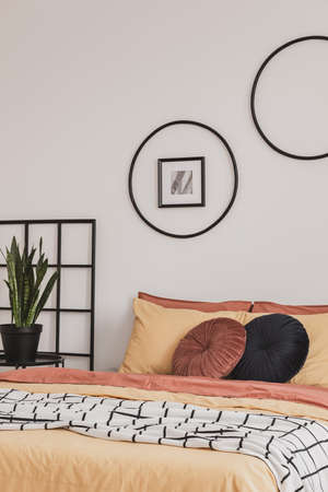 Green plant in black pot next to king size bed in trendy bedroom interiorの写真素材