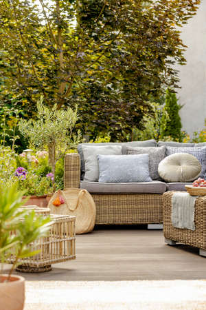 View of cozy green backyard with wicker sofa and decorationsの写真素材