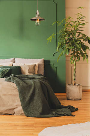 Beautiful bedroom interior with green design, copy space on empty wallの写真素材