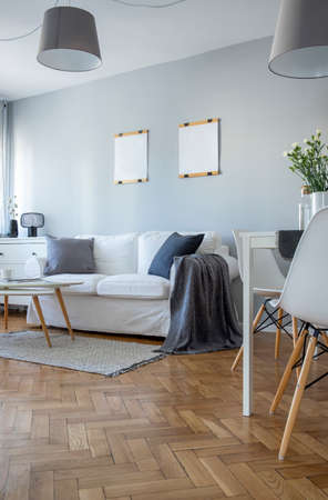 White posters on grey wall in stylish living room interior in fashionable flatの写真素材