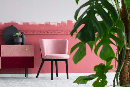 Green flower in black pot nest to black vase on stylish velvet commode next to pastel pink chairの写真素材