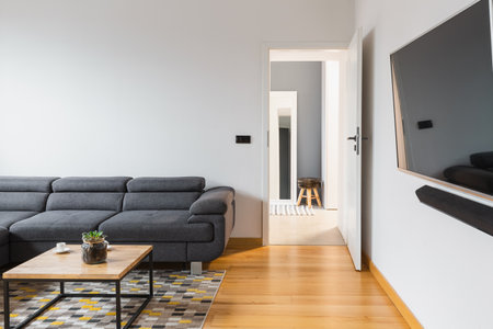 Gray sofa in simple living room interiorの写真素材