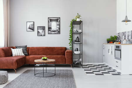 Open space studio apartment with kitchen and living area with sofa and coffee tableの写真素材