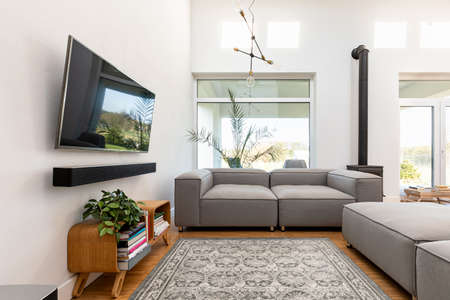 Trendy living room interior with TV, pants and gray lounge furnitureの写真素材