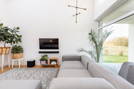Big window, plants, couch and tv in elegant living room interiorの写真素材