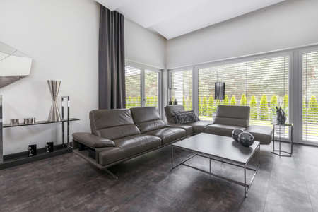 Big window in trendy grey living room interior of suburban houseの写真素材