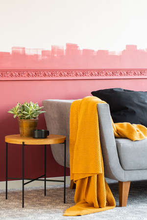 Elegant and modern living room interior with grey sofa with pillows and coffee tableの写真素材