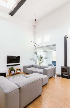 Vertical view of elegant living room interior with gray sofa, tv and retro fireplaceの写真素材