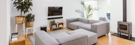 TV, pants and gray lounge furniture in spacious living room interiorの写真素材