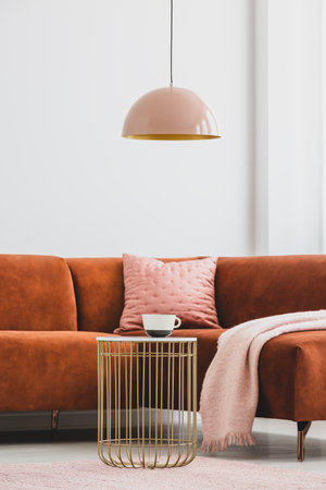 Pink pillow and rug on comfortable sofaの写真素材