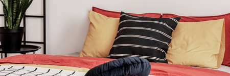 Green plant in black pot next to king size bed in trendy bedroom interiorの写真素材