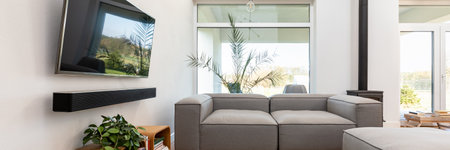 Trendy living room interior with TV, pants and gray lounge furnitureの写真素材