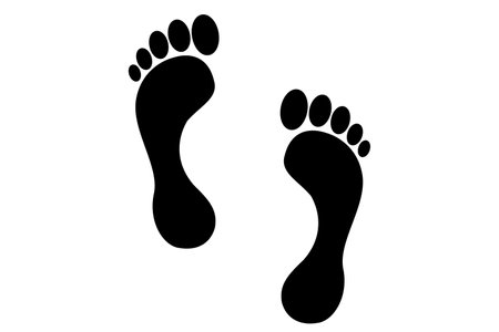 Vector graphics of black footprintsのイラスト素材
