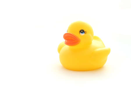 Yellow toy duckの写真素材