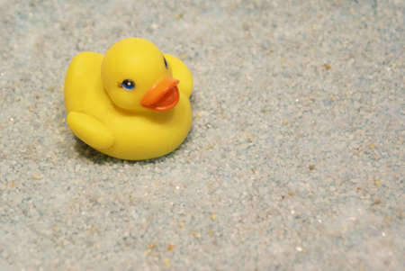 little platic duckの写真素材