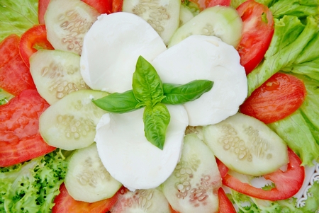 composition mixed salad in the plateの写真素材