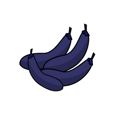 Eggplant icon vector. Cartoon eggplant vegetable isolated on whiteのイラスト素材