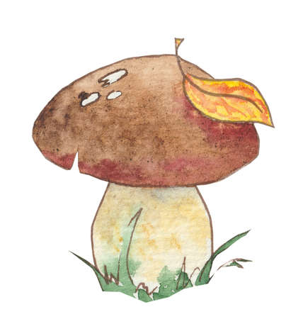 Watercolor forest mushroom with autumn leaf on the cap in grass.の写真素材